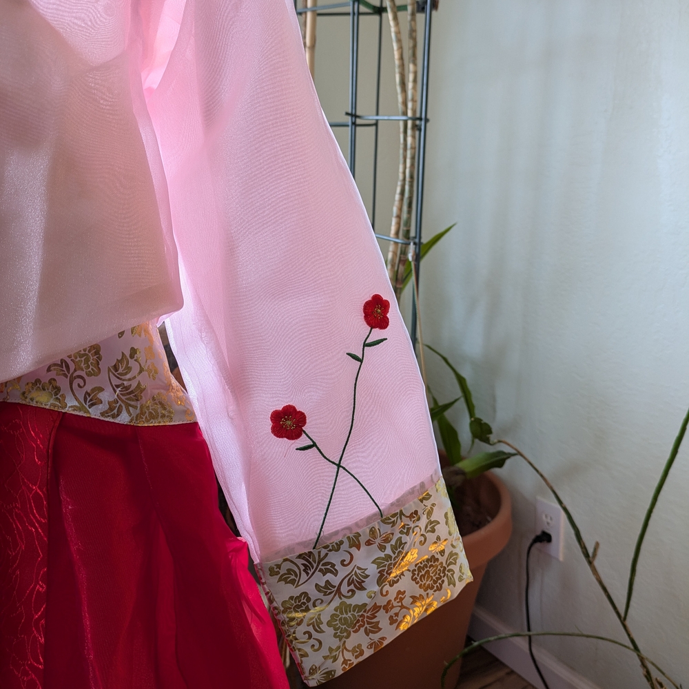 Hanbok Women Red And Pink Hanbok - Picture 7 of 9